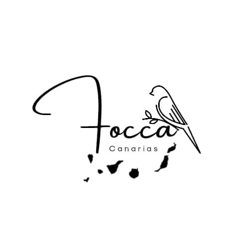 FOCCA Event