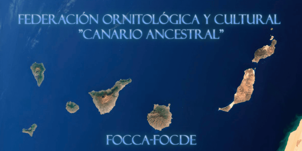 FOCCA-FOCDE Event